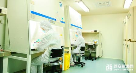 秦漢新城大健康產業加速布局 大型GMP生物實驗室即將投用，助推醫學研發新突破
